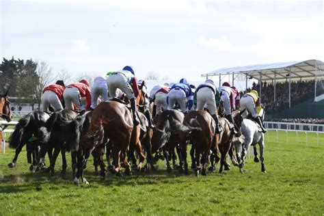 ladbrokes cheltenham places|The Cheltenham Festival with Ladbrokes.